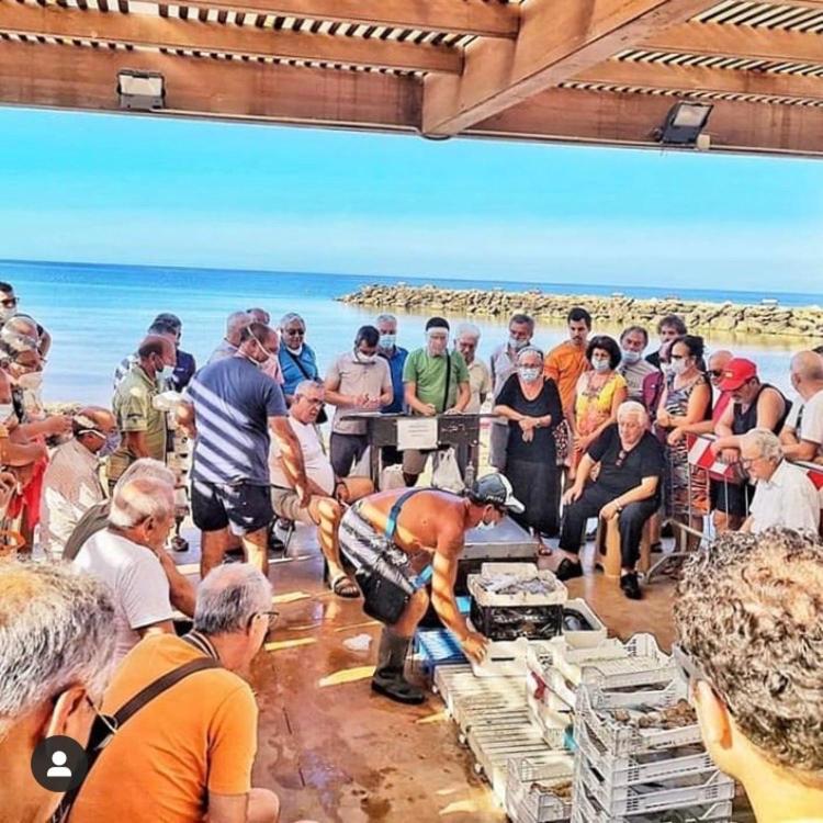 La Terrazza Sul Mar Mediterraneo Marinella di Selinunte Exterior foto